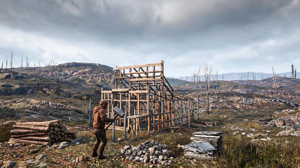 Do You Have to Play Rust Online? A Complete Guide for All Player Types
