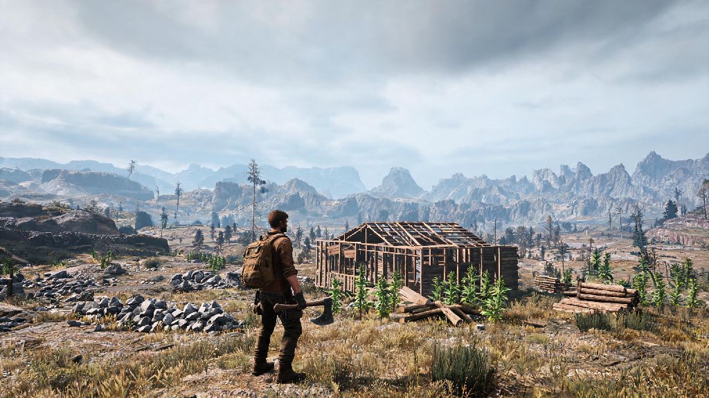 Does Rust Have a Single Player? Full Guide for New Players